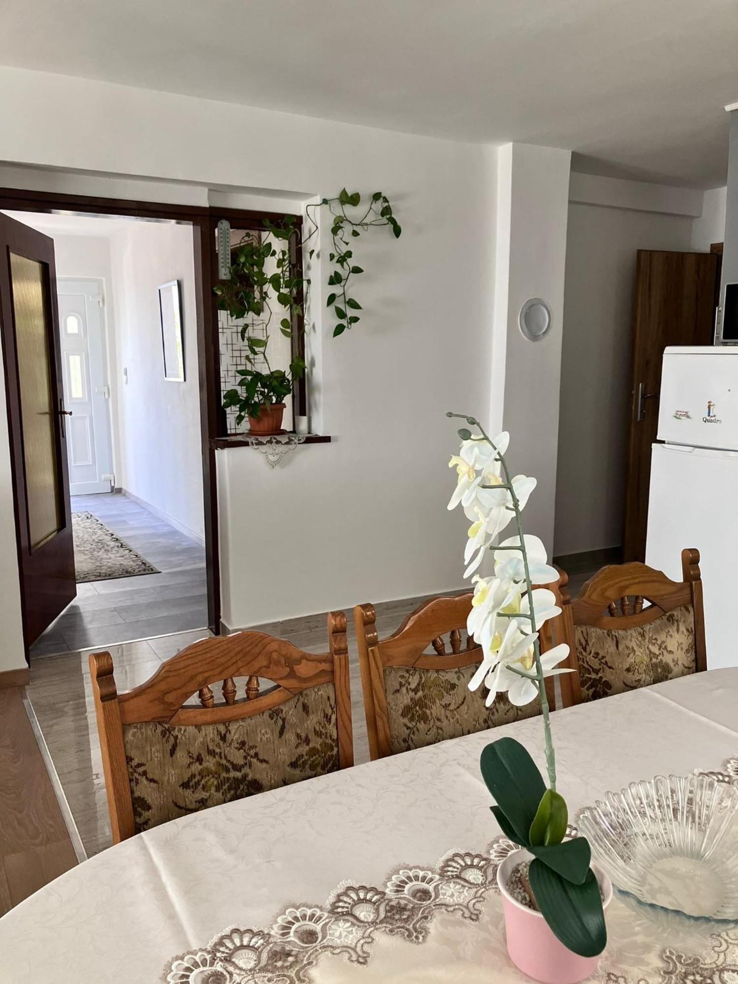 Apartamento App Martina Dramalj Exterior foto